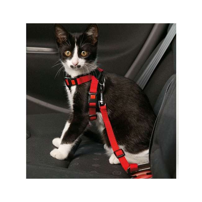 Bild 1 von Karlie Flamingo Auto-Sicherheitsgeschirr für Katzen