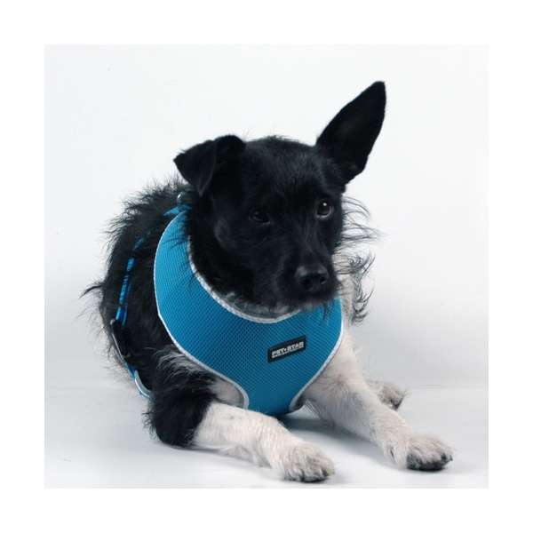 Bild 1 von Pet-Star Softgeschirr  Netzgeschirr - Blau  / (Größe) M     42 - 58 cm
