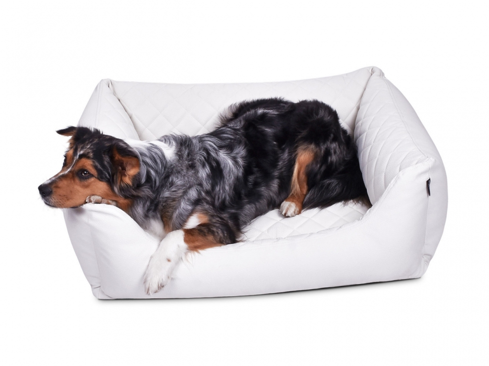Bild 1 von mypado World Kunstleder-Premium gesteppt Hundebett  / (Größe) 90 x 70 cm / (Farbe) Weiss / (Füllung) Standard: laut Beschreibung