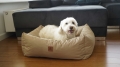 Bild 15 von Animood Hundebett Maurice