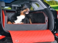 Bild 8 von Autohundebett Travelmat® duo Plus