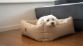Bild 16 von Animood Hundebett Maurice  / (Größe) L - 72 x 63 cm / (Farbe) Beige 