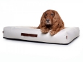 Bild 3 von Hundebett Montreal Nylongewebe  / (Größe) 90 x 70 cm / (Farbe) Orange / (Füllung) Orthopädisch: viscoelastischer Schaumstoff