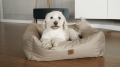 Bild 14 von Animood Hundebett Maurice