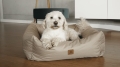 Bild 14 von Animood Hundebett Maurice  / (Größe) L - 72 x 63 cm / (Farbe) Braun