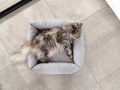 Bild 3 von mypado Sena Silver Katzenbett  / (Farbe) Anthrazit