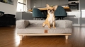 Bild 7 von Animood Hundesofa Sonya  / (Farbe und Bezugsmaterial) Beige / Velours