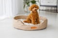 Bild 6 von Animood ovales Hundebett Mia